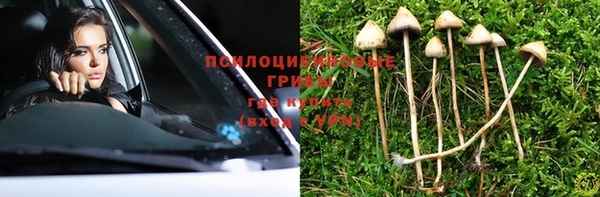 меф Новодвинск